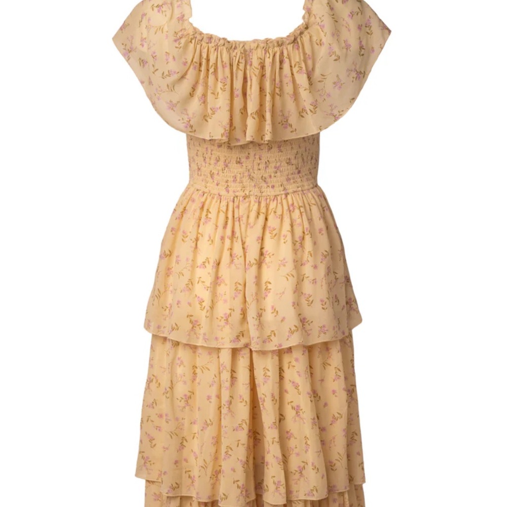 Beautiful Ivy City Co Dress